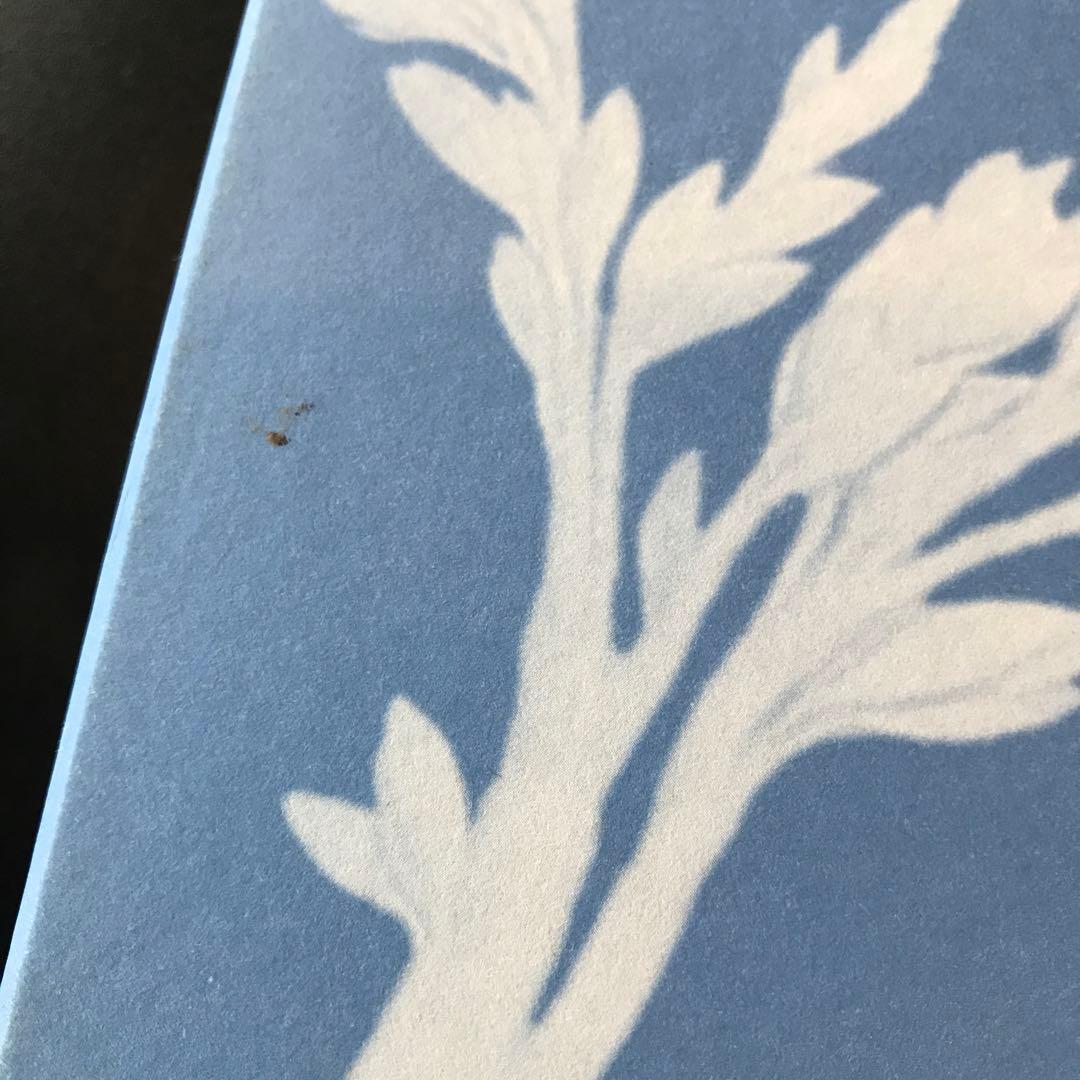 La-mar SWEET PLUM プレート4枚セット