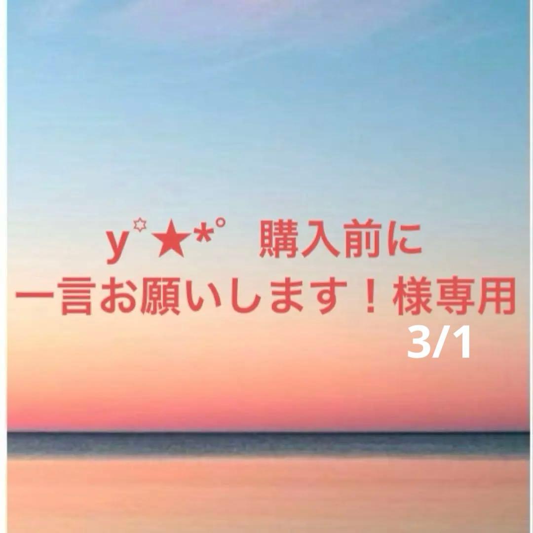 【y꙳★*゜購入前に一言お願いします！】ハンドメイド2/21