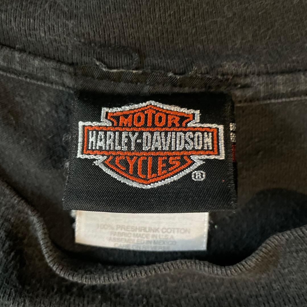 90s ハーレーダビッドソン フレイム ファイヤーパターン ロンT