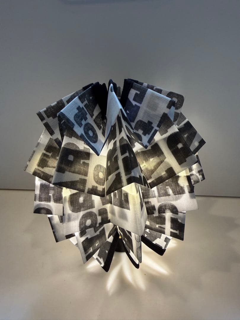 【超希少】TARPtoTARP solol コラボ