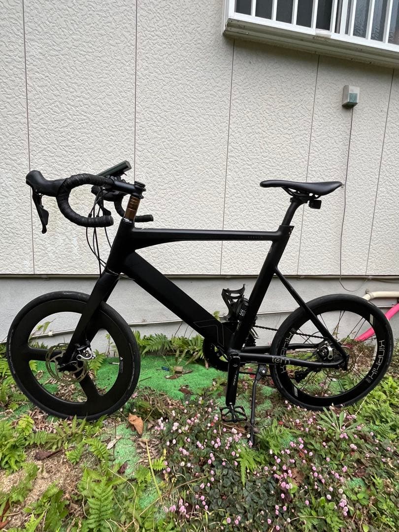 Tern SURGE X ターン サージュ カイ ミニベロ