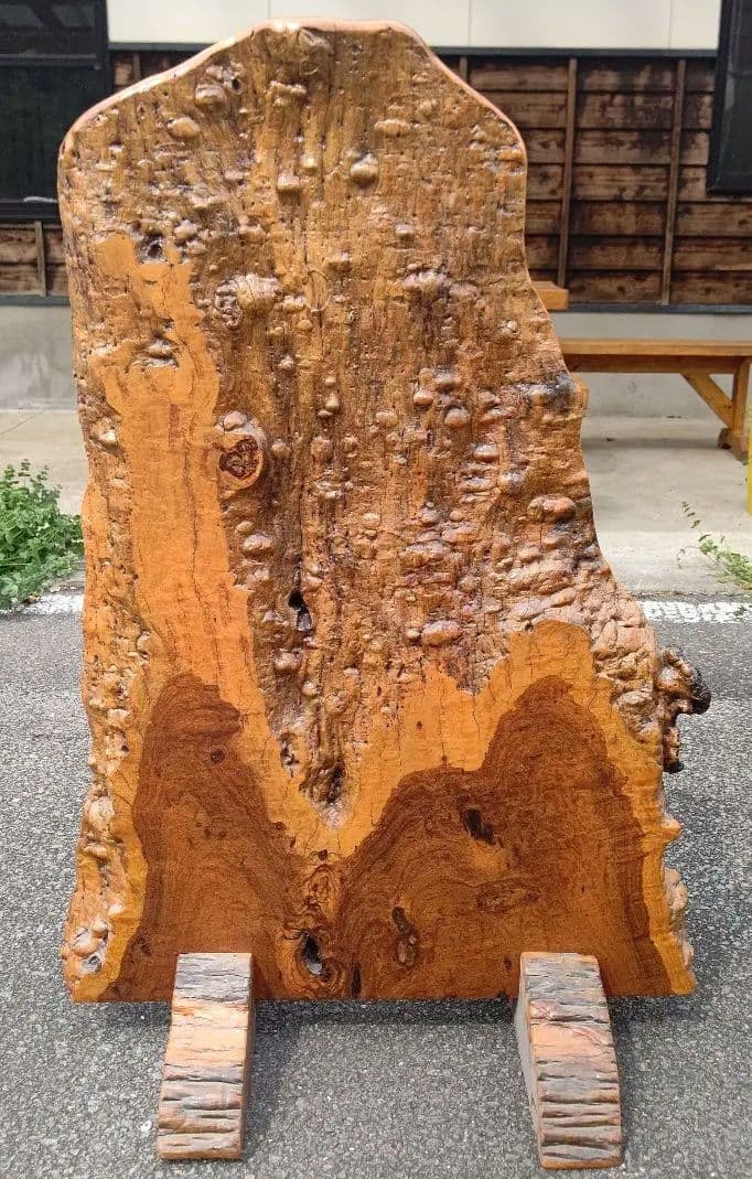 (未使用)　花梨　衝立　花梨瘤