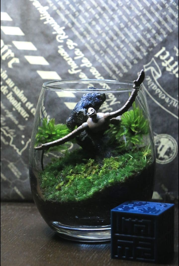 苔テラリウム　シングル、ダブル、トリプル　ロボット兵　心癒す我が家のオアシス