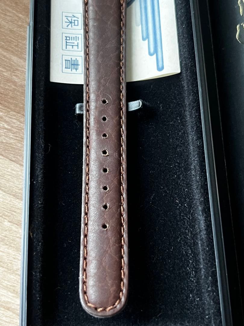 ドナルドダック birthday Watch 世界に1995個しかない。