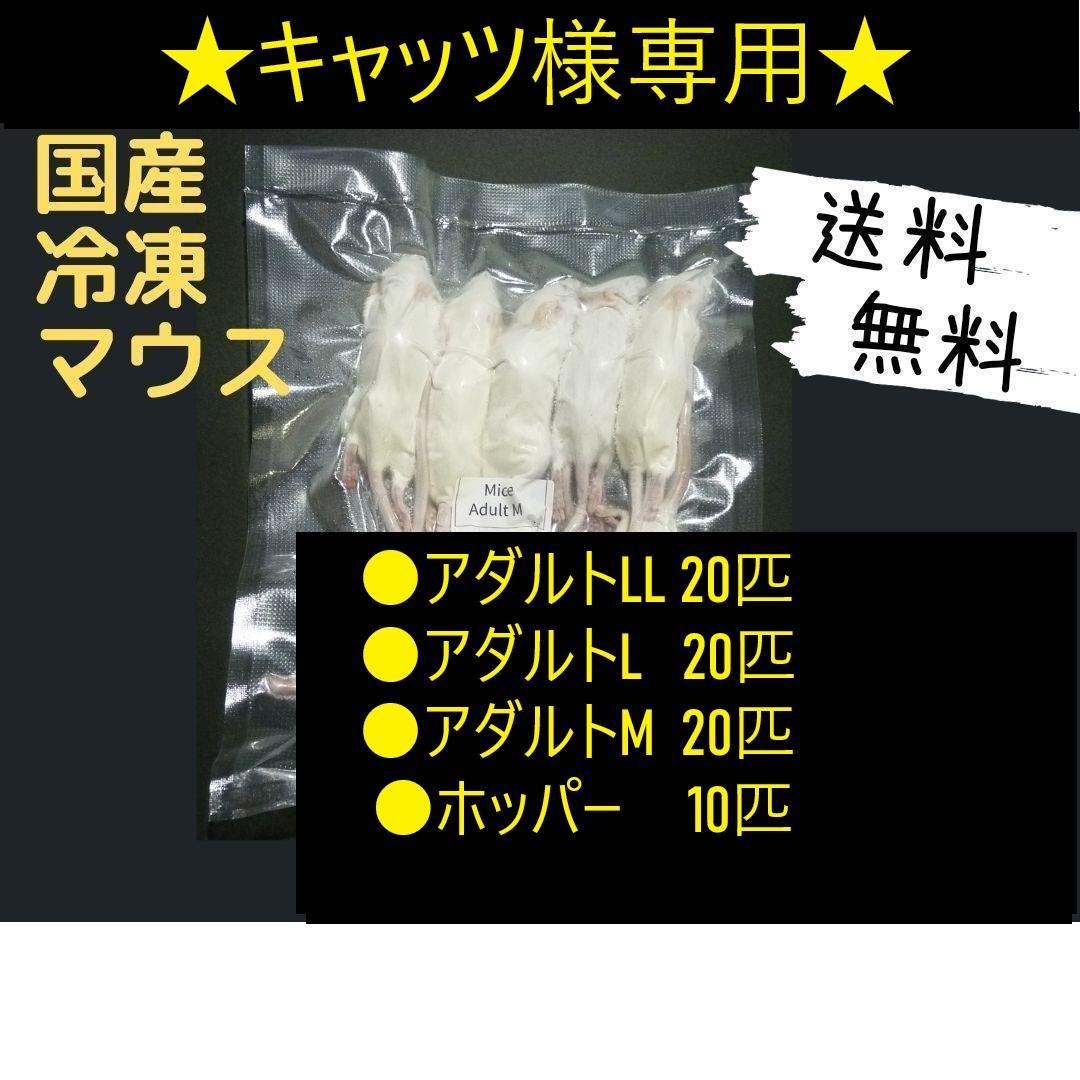 ★キャッツ★国産 冷凍マウス リクエスト品