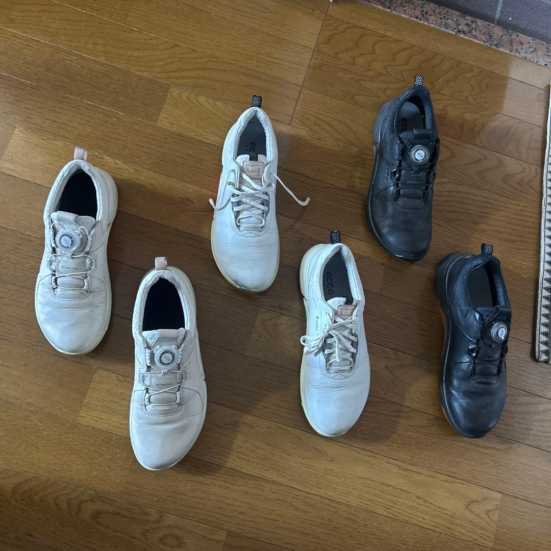 【よっちゃん】エコー　レディース用　ゴルフシューズ