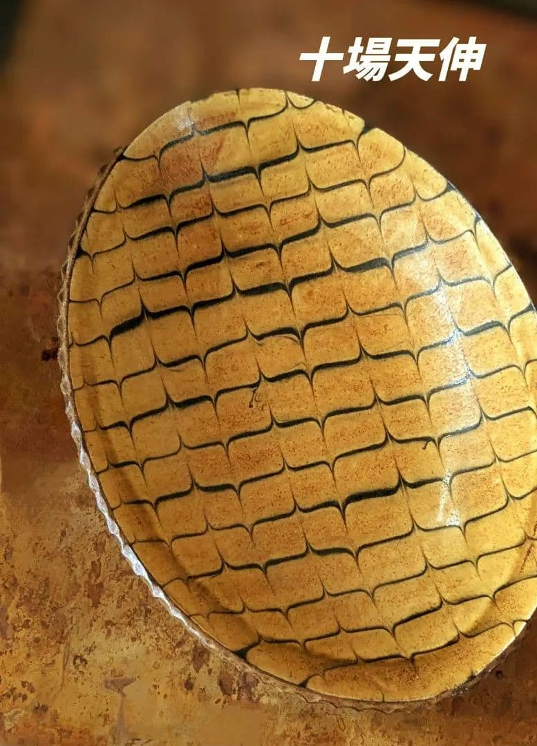 十場天伸 初期作品 スリップウエア 楕円形深皿 つくも窯