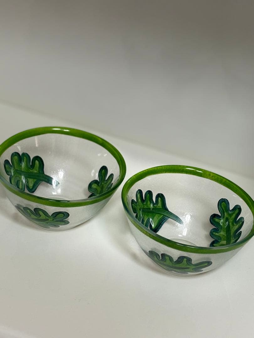 コスタボダ　ルッコラ　ボウル　ペア　未使用