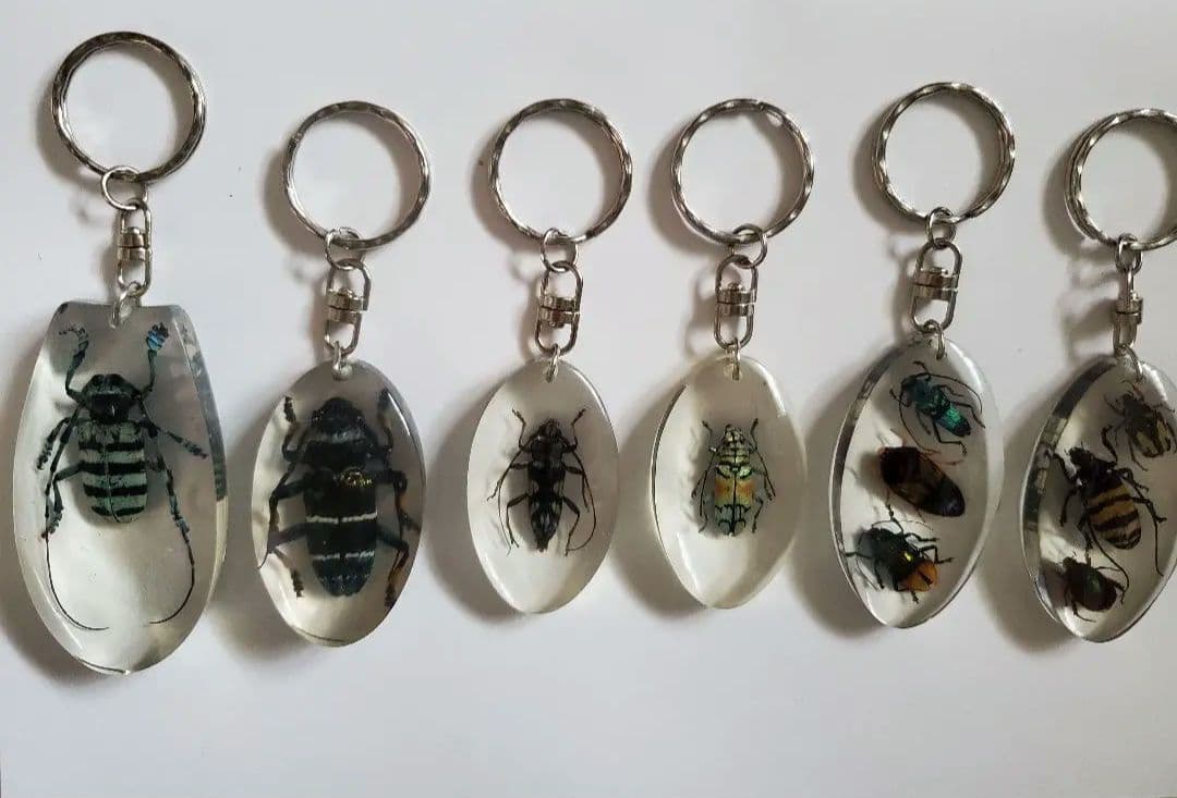 インドネシア産　カミキリムシ　キーホルダー　6点セット