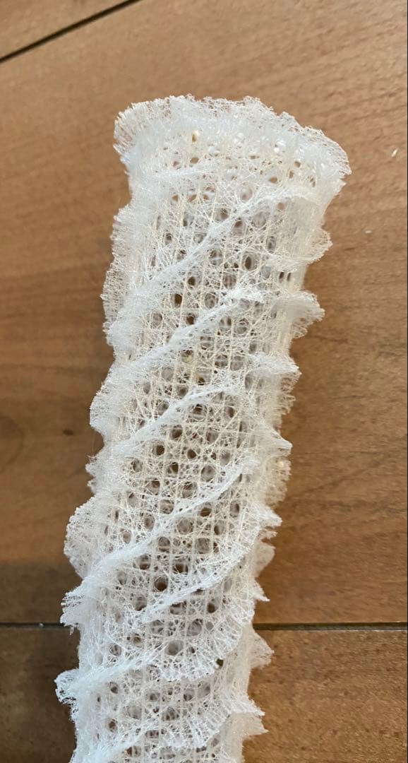 カイロウドウケツ　標本