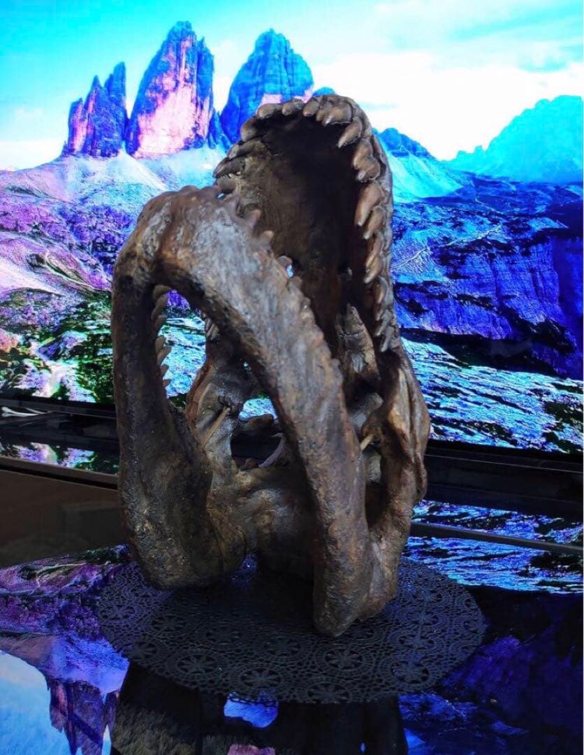 ✨大迫力✨ ティラノサウルス 恐竜の化石 頭骨 インテリア ジュラシックワールド