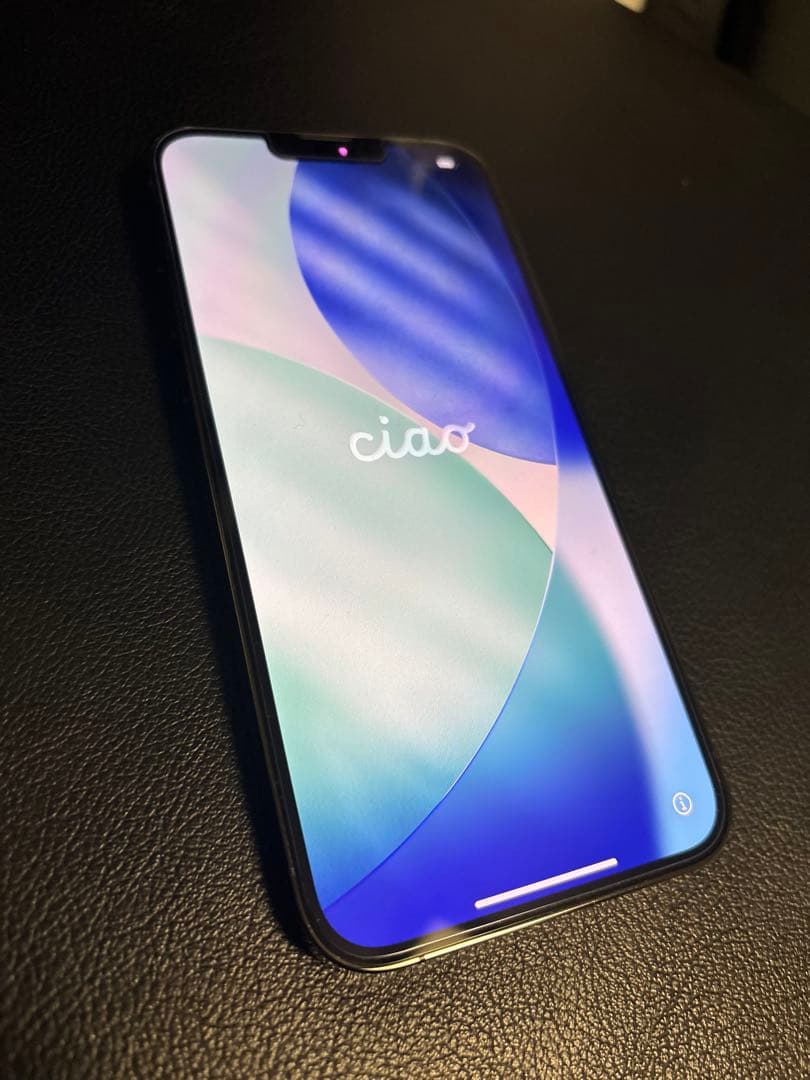 【銀林檎】iPhone13 Pro Max 256GB グラファイト