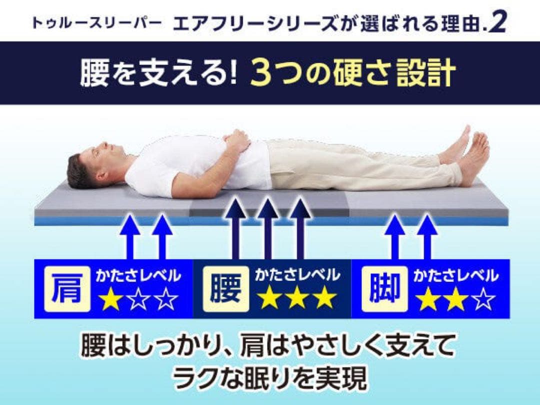 【最安値】送料込み！新品未使用トゥルースリーパーエアフリー三つ折りタイプ