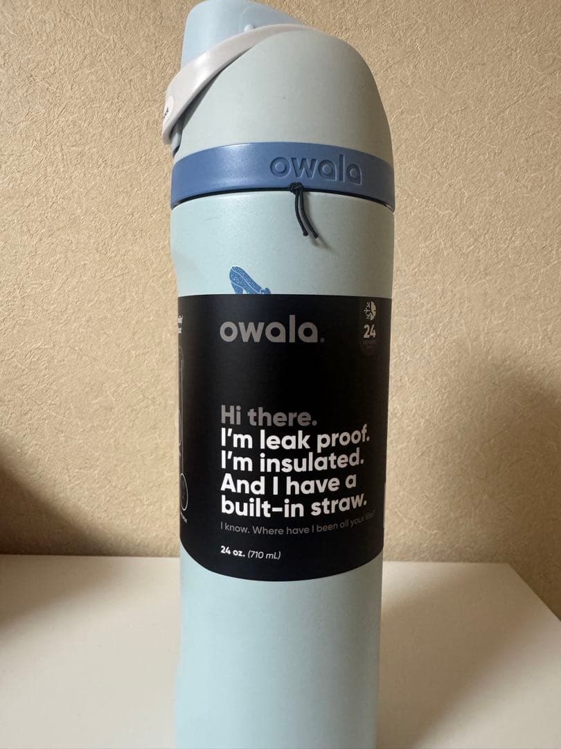 日本未入荷owala Cinderella オワラ　ディズニー　シンデレラ