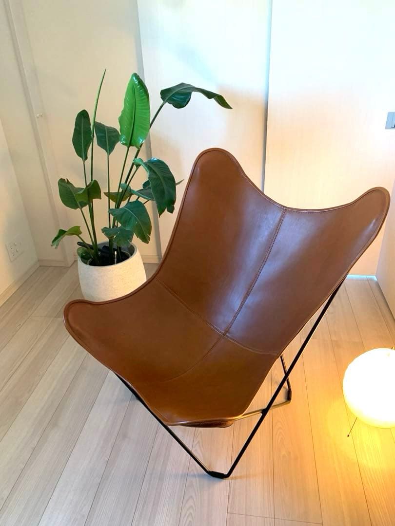 【バタフライチェア】CUERO | BKF チェア ブラウン