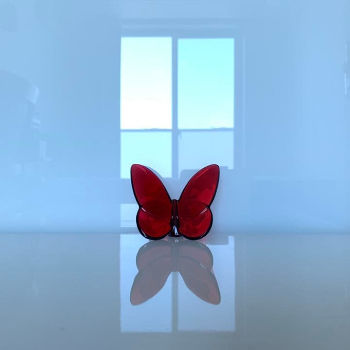 ✯ 大人気 Baccarat バタフライ 蝶 Red レッド 赤 ルビー 置物✯