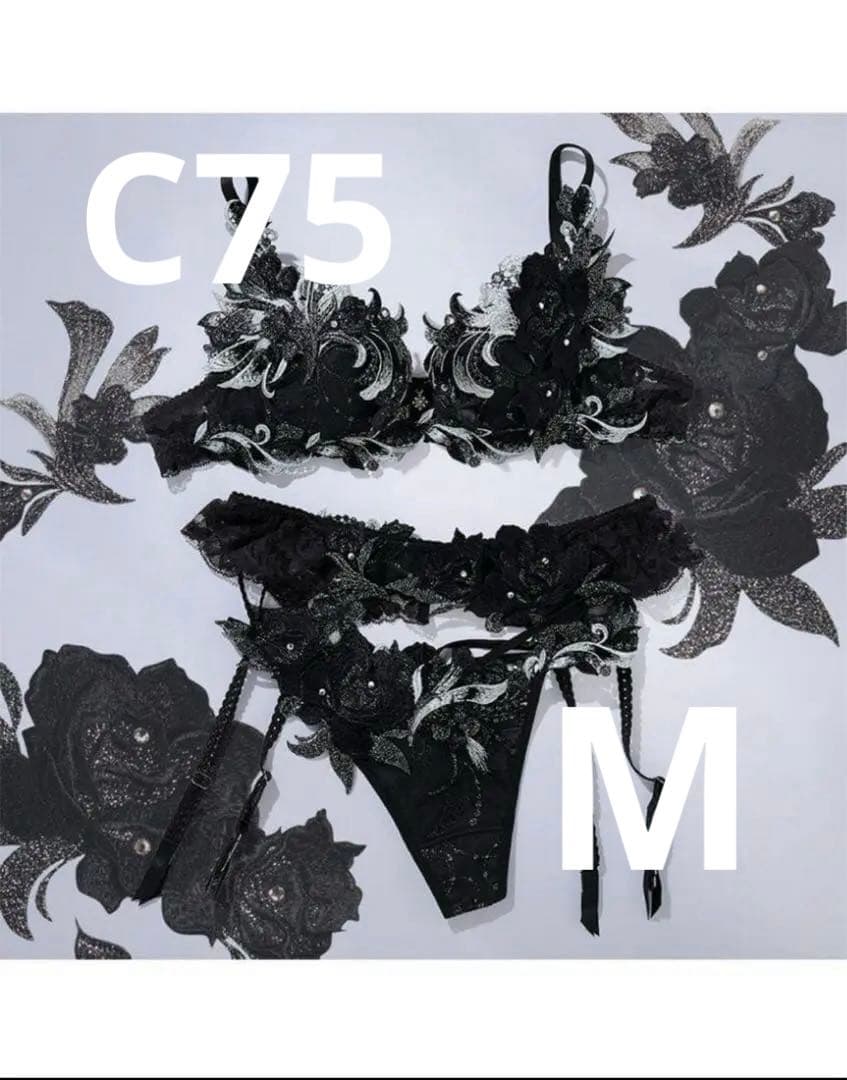 【完売サイズ】Salut サルート 24G C75M タグ付 受注 事前予約