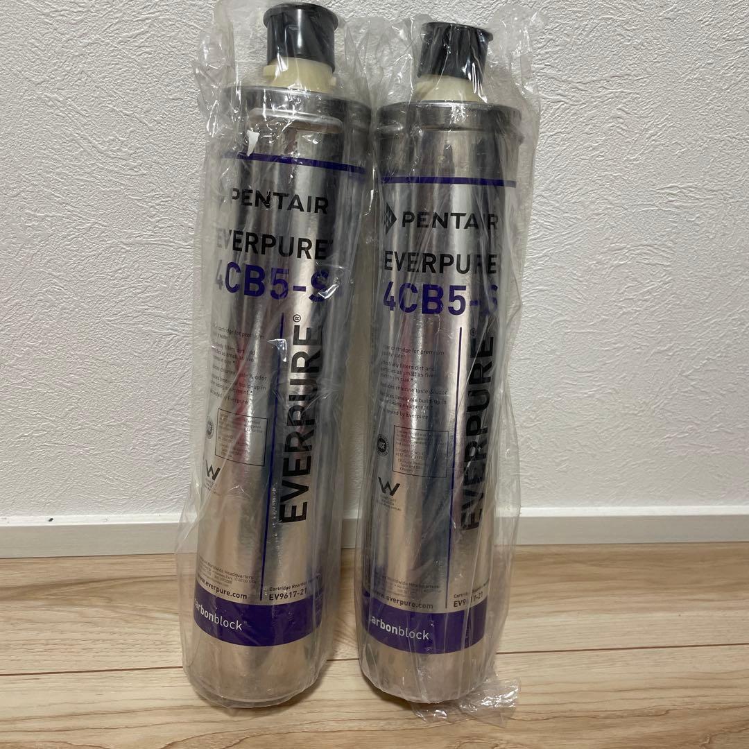 Pentair Everpure 4CB5-S カートリッジ 2個セット