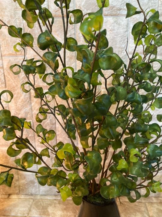 光触媒　人工観葉植物　ウォールグリーン　造花　インテリア　ベンジャミンバロック7