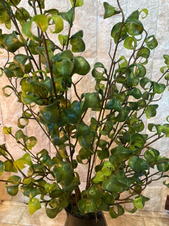 光触媒　人工観葉植物　ウォールグリーン　造花　インテリア　ベンジャミンバロック7