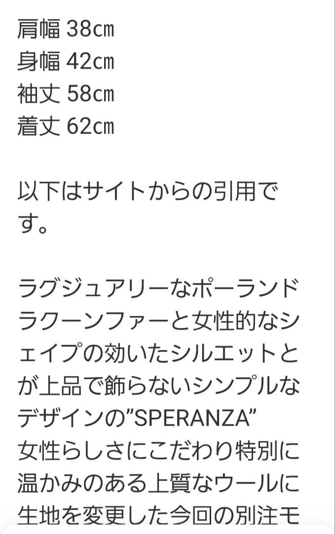 タトラス　スピック&スパン別注ダウン