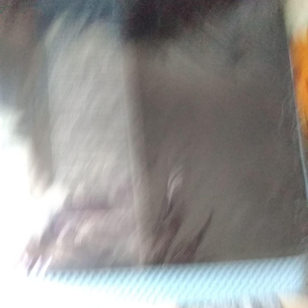 airweaveエアウィーヴエアーウィーブ！座クッション 黒青！新品未使用品！