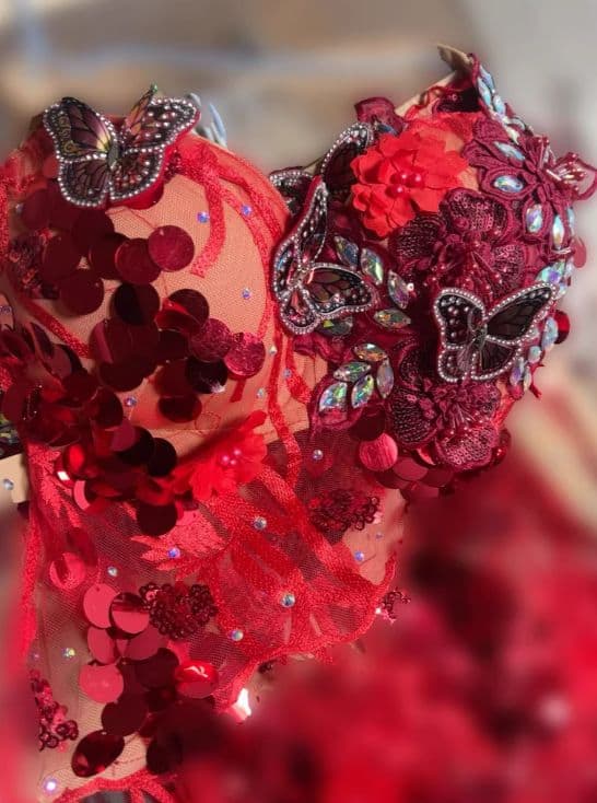 美品一点物 ベリーダンス衣装 蝶々ブラスカート セット L インナー付