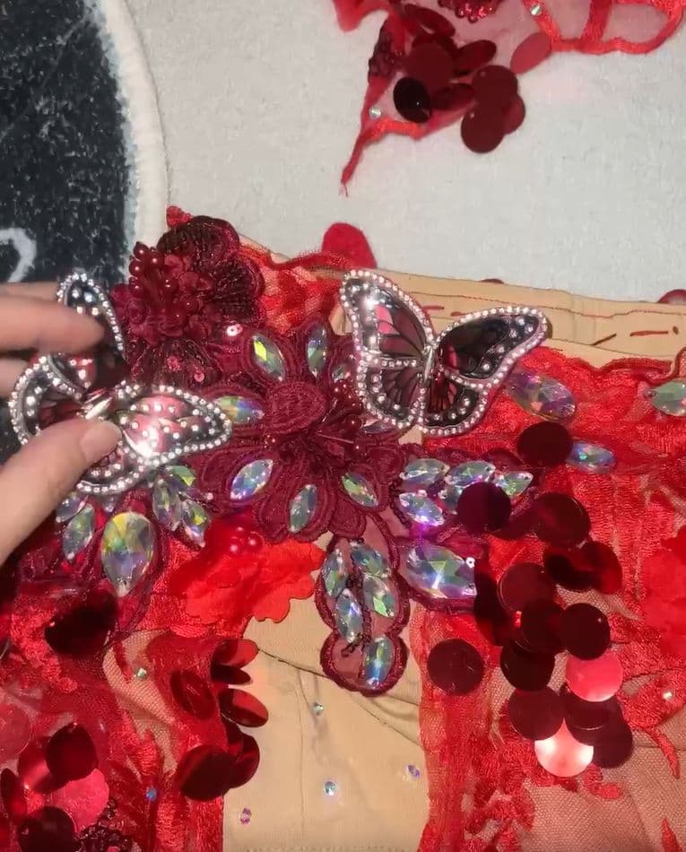 美品一点物 ベリーダンス衣装 蝶々ブラスカート セット L インナー付