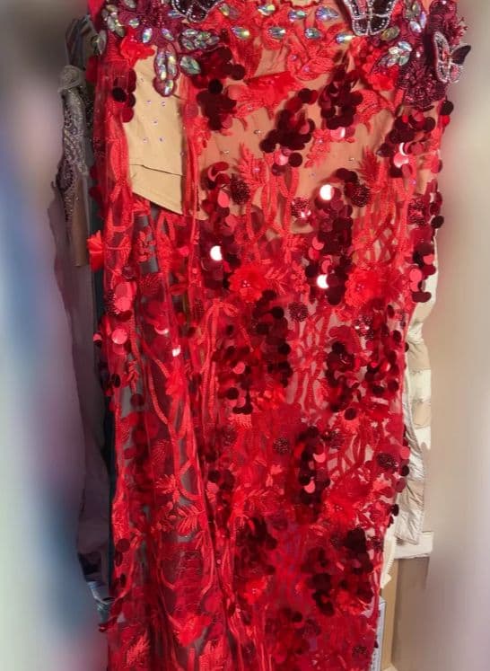 美品一点物 ベリーダンス衣装 蝶々ブラスカート セット L インナー付