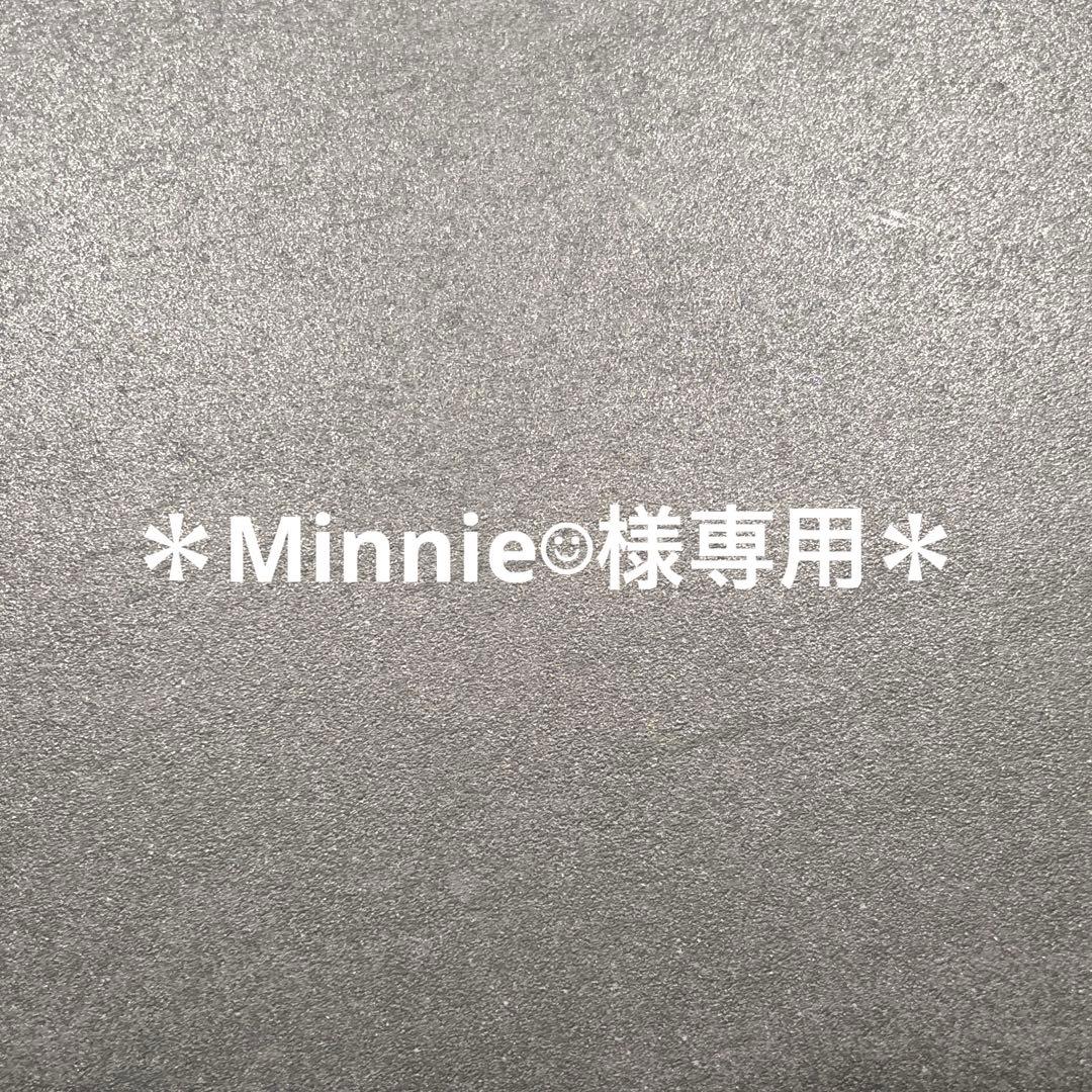 ＊Minnie☺︎　フラワーリース＊　特大　春のピンクのナチュラルリース