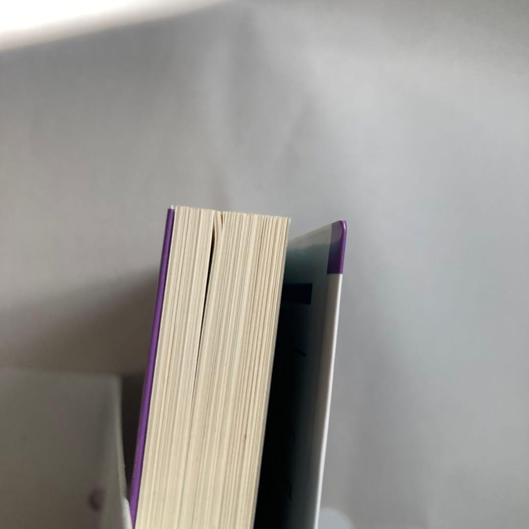 ペルソナ・アナザービジョン 明日出会う自分へ　DNAノベルス新書　小説　匿名配送