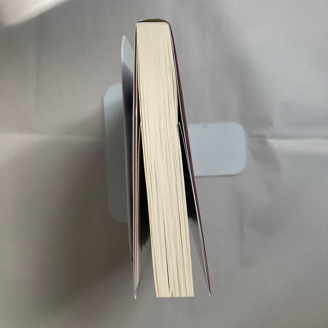 ペルソナ・アナザービジョン 明日出会う自分へ　DNAノベルス新書　小説　匿名配送