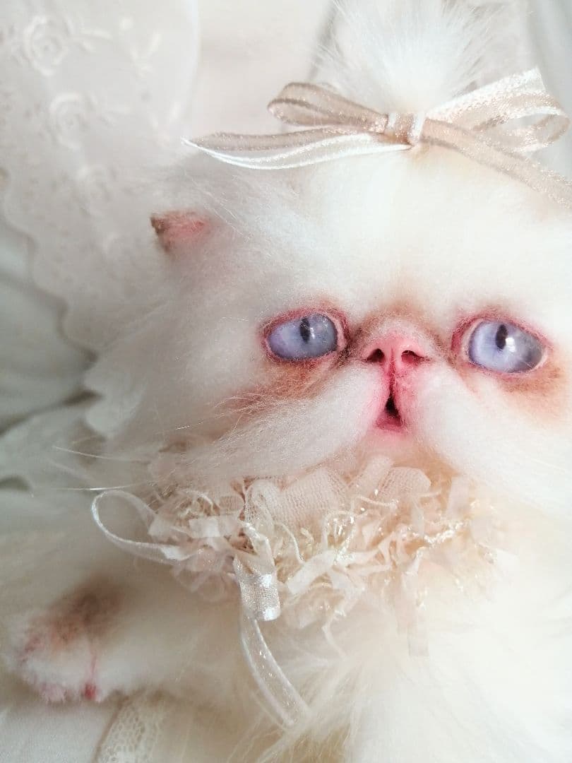 エキゾチックロングヘア♡一歳の子猫ちゃん♡美人さん♡アートドール♡ぬいぐるみ♡