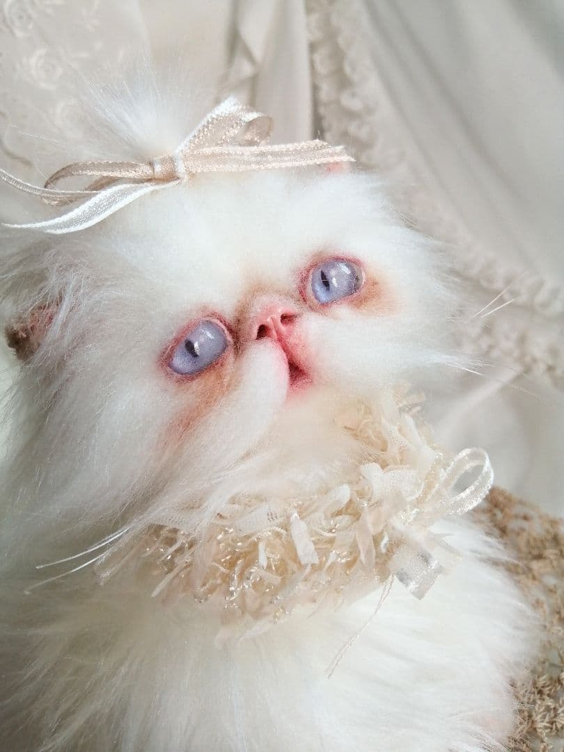 エキゾチックロングヘア♡一歳の子猫ちゃん♡美人さん♡アートドール♡ぬいぐるみ♡