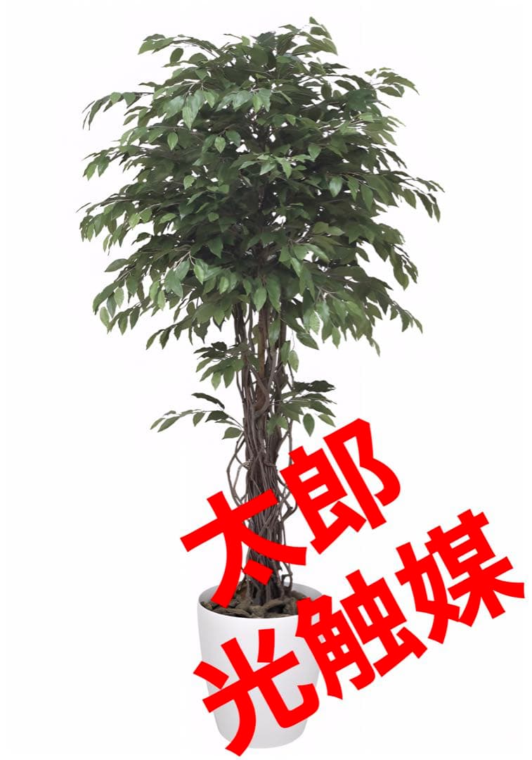 光触媒　人工観葉植物　フェイクグリーン　ベンジャミンリアナ1.8