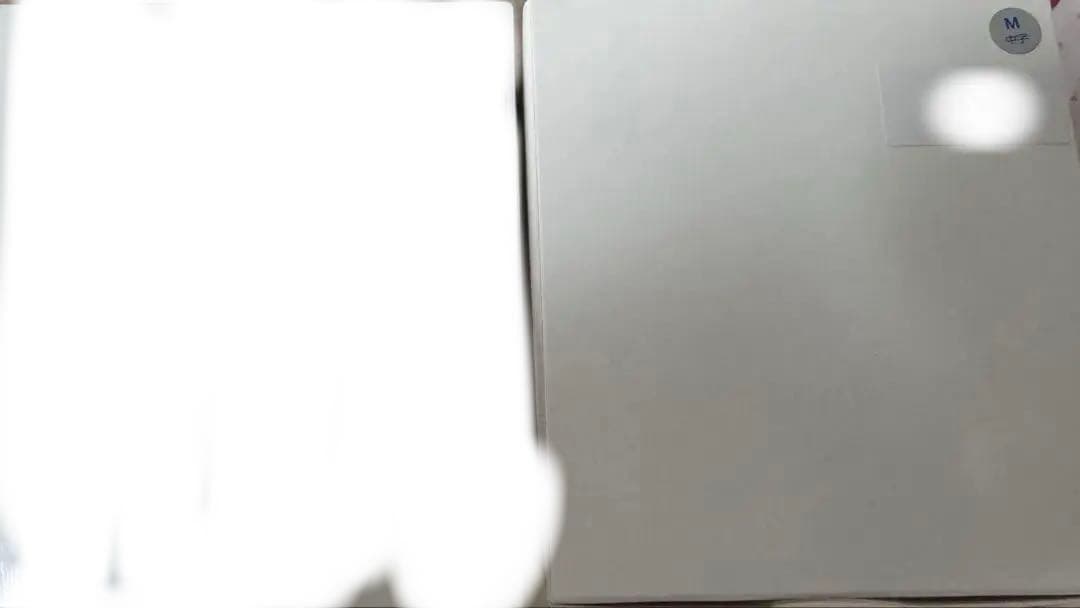 PILOT パイロット 万年筆 キャップレス 2024 限定 中字 M