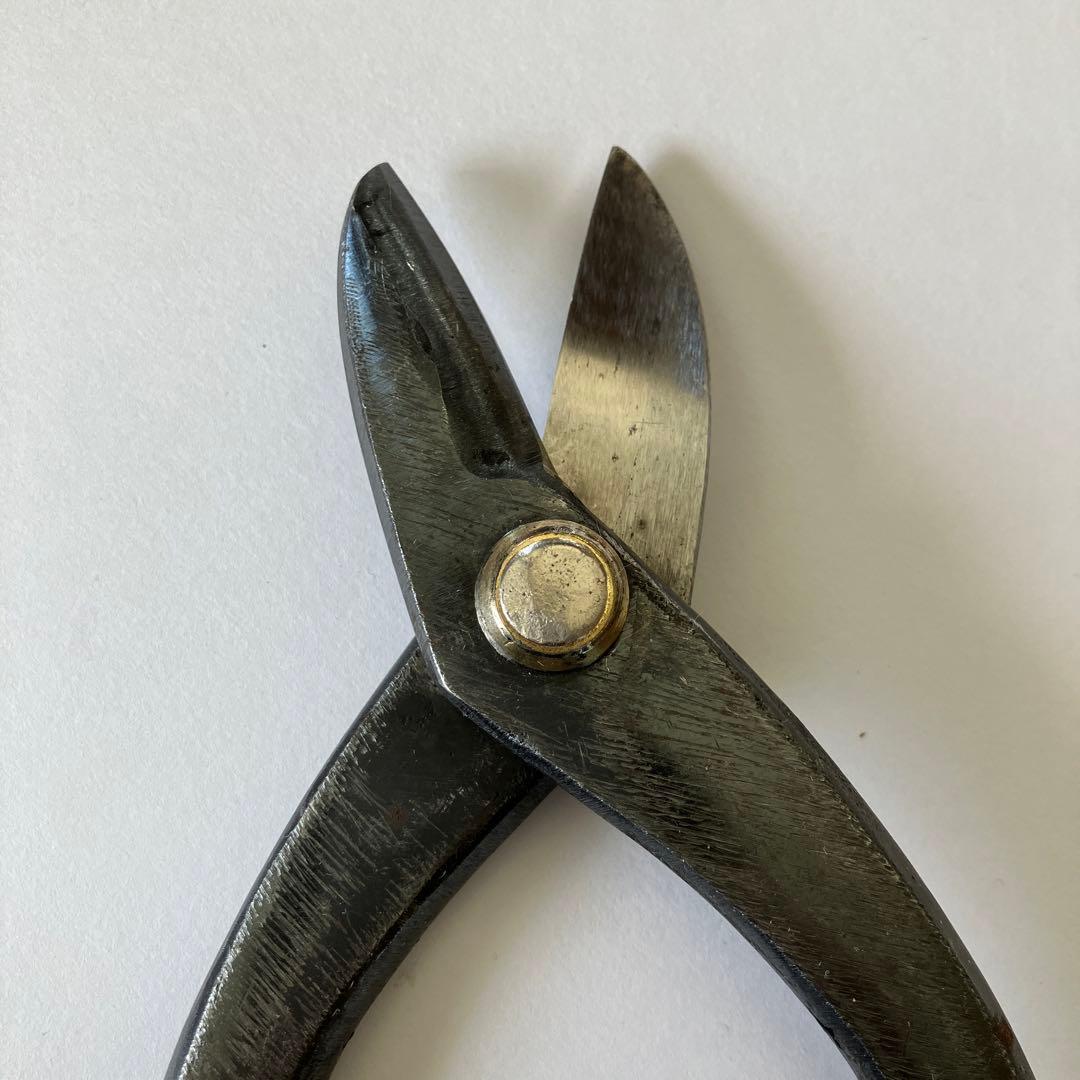 鋏　ステン用　柳刃　登録　輝盛光