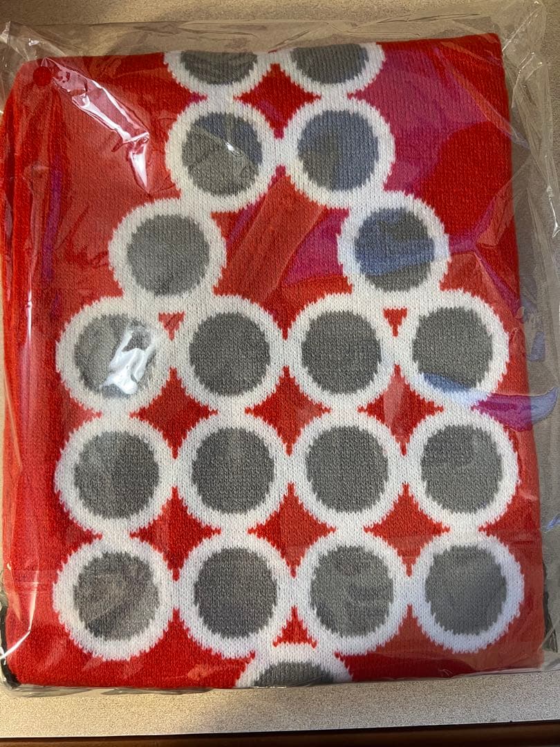 平沢進　核P-MODEL アコードマフラー