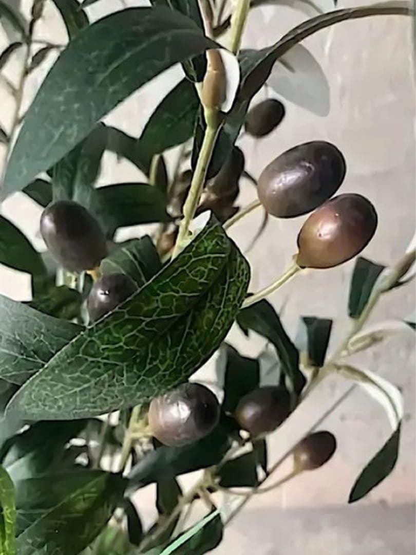 光触媒　人工観葉植物　ウォールグリーン　フェイクグリーン　オリーブ100