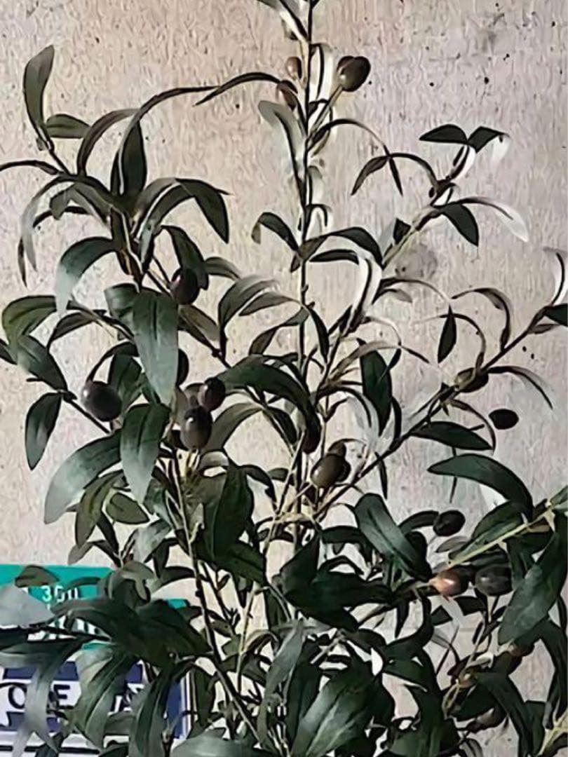 光触媒　人工観葉植物　ウォールグリーン　フェイクグリーン　オリーブ100