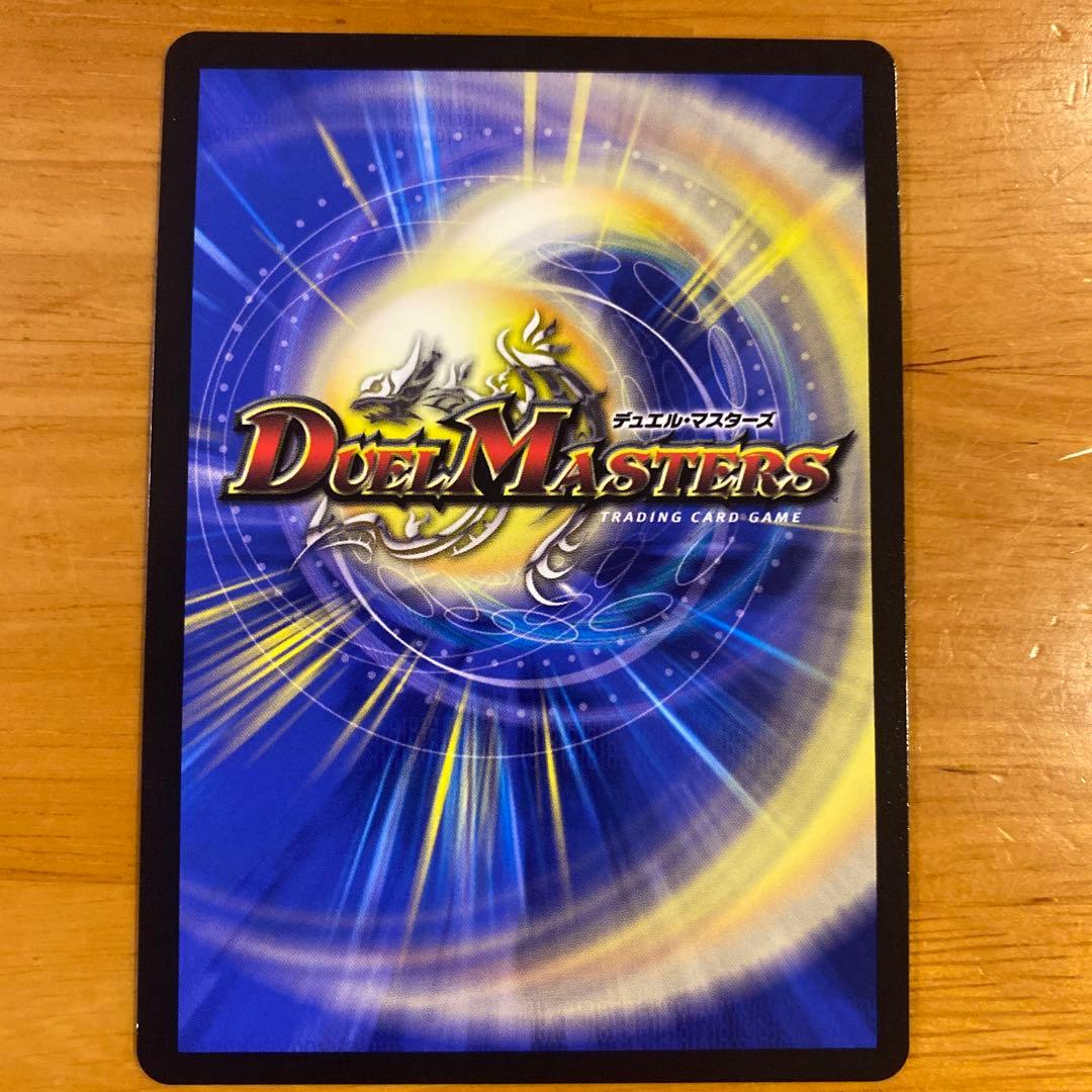 シャコガイル　b