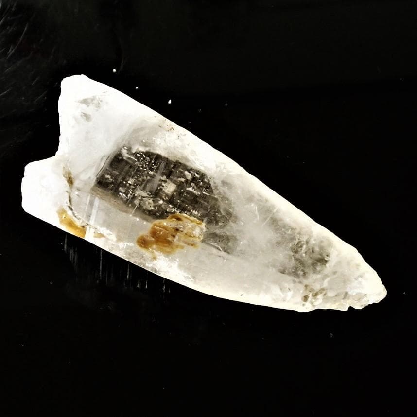 値下しました！ティップリン産ポイント-48-1