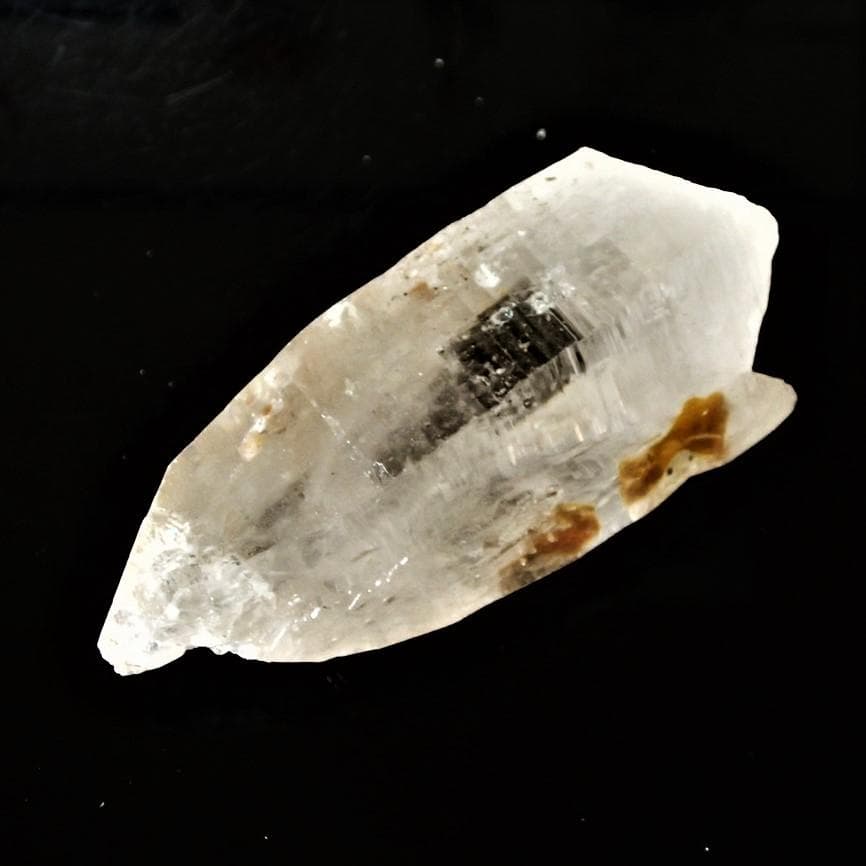 値下しました！ティップリン産ポイント-48-1