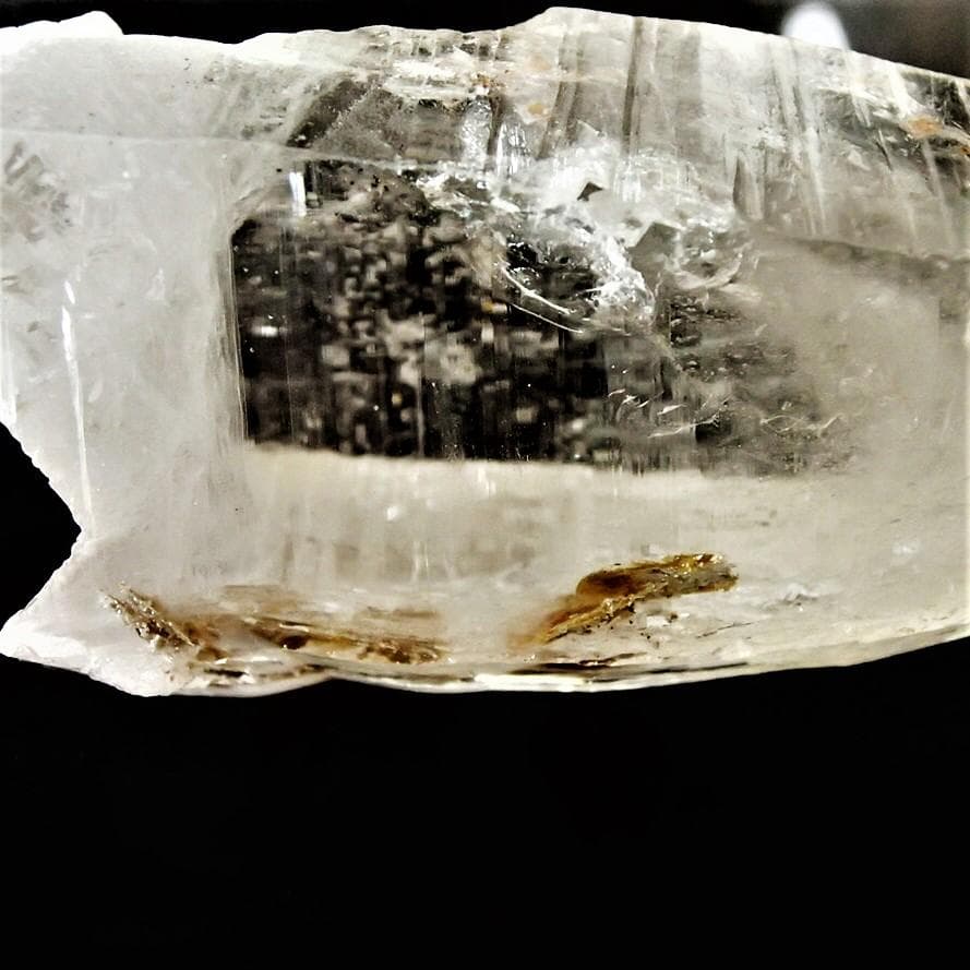 値下しました！ティップリン産ポイント-48-1