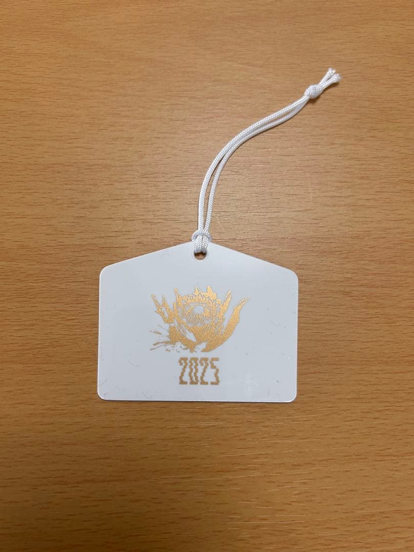 新政 No.6 2025 New Year-type N-type