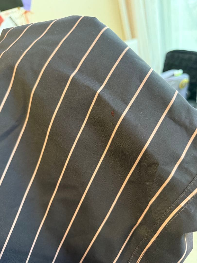 Nomadik ストライプパンツ スノボウェア