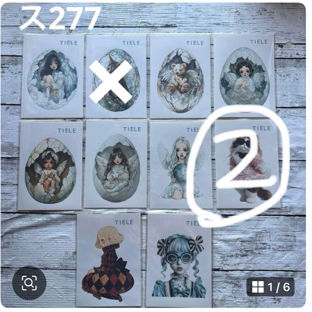 専用ページ \"あさりあ\"様