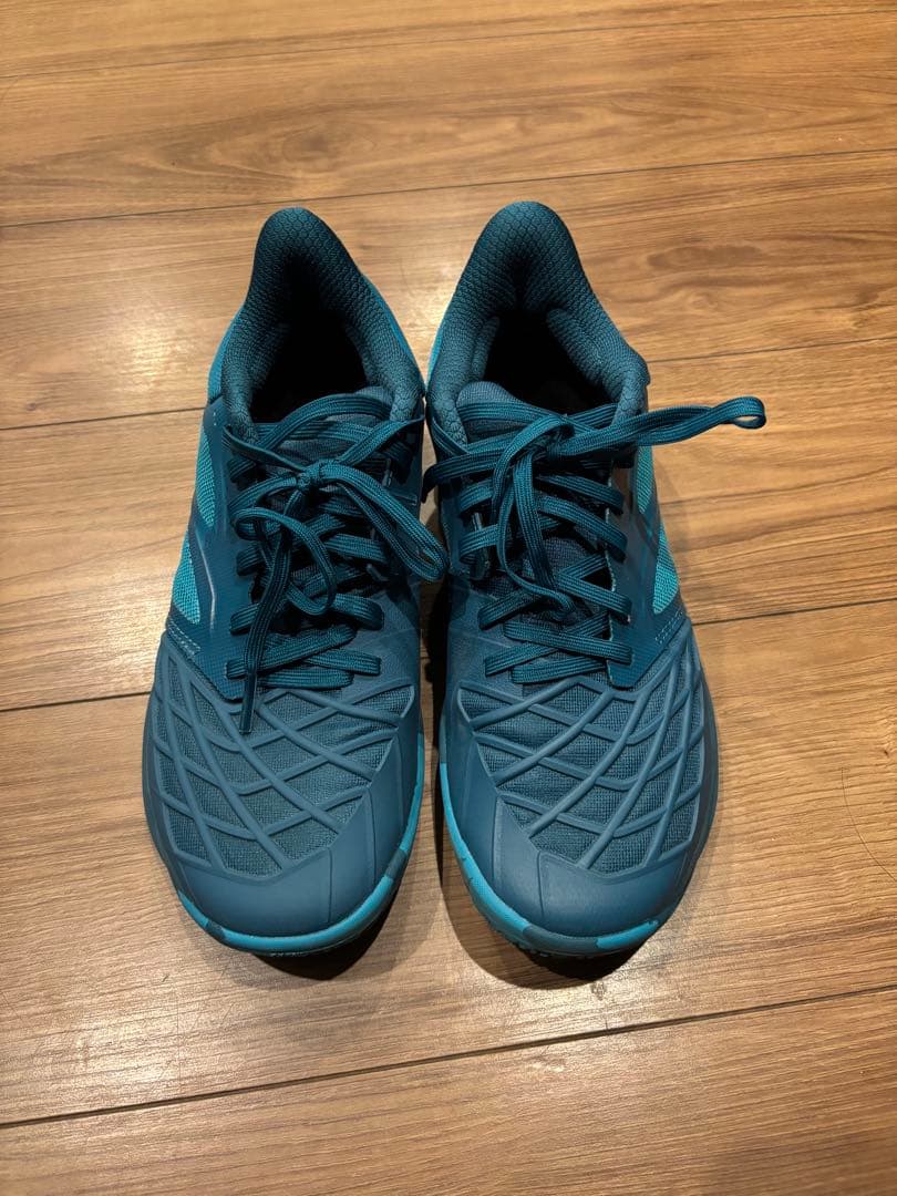 カスケードドライブ　26cm