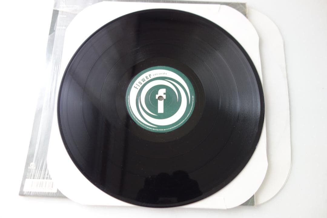 邦楽 Reggae Disco Rockers /oasis