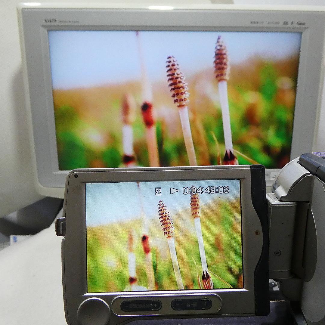 動作品 ソニーDCR-TRV30 MiniDV ビデオカメラDVDダビングに最適